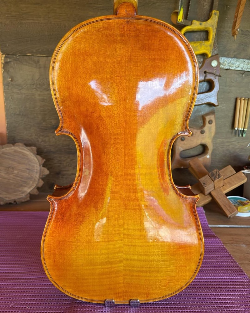 Detalhe do bordo e filete da viola.