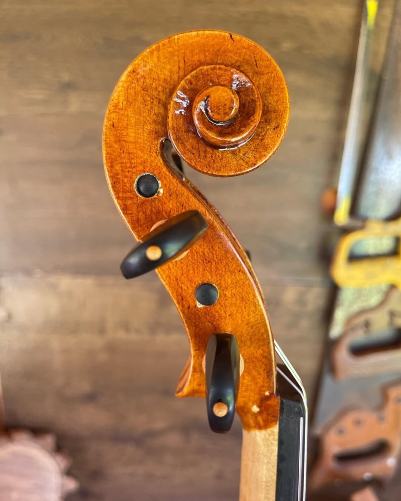 Perfil lateral da viola.