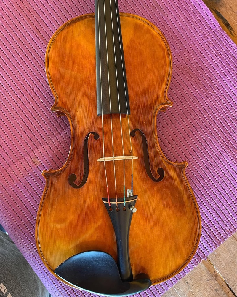 Viola completa em pose de apresentação na oficina.