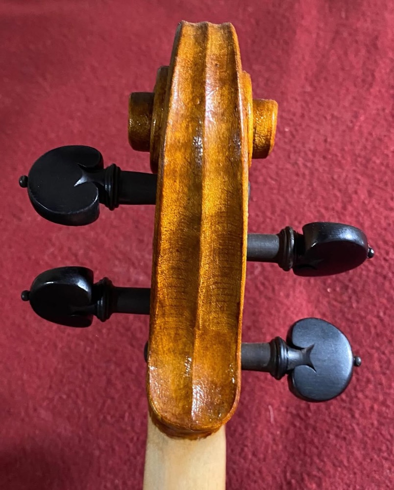 Violino iluminado de forma a destacar o verniz e o grão da madeira.