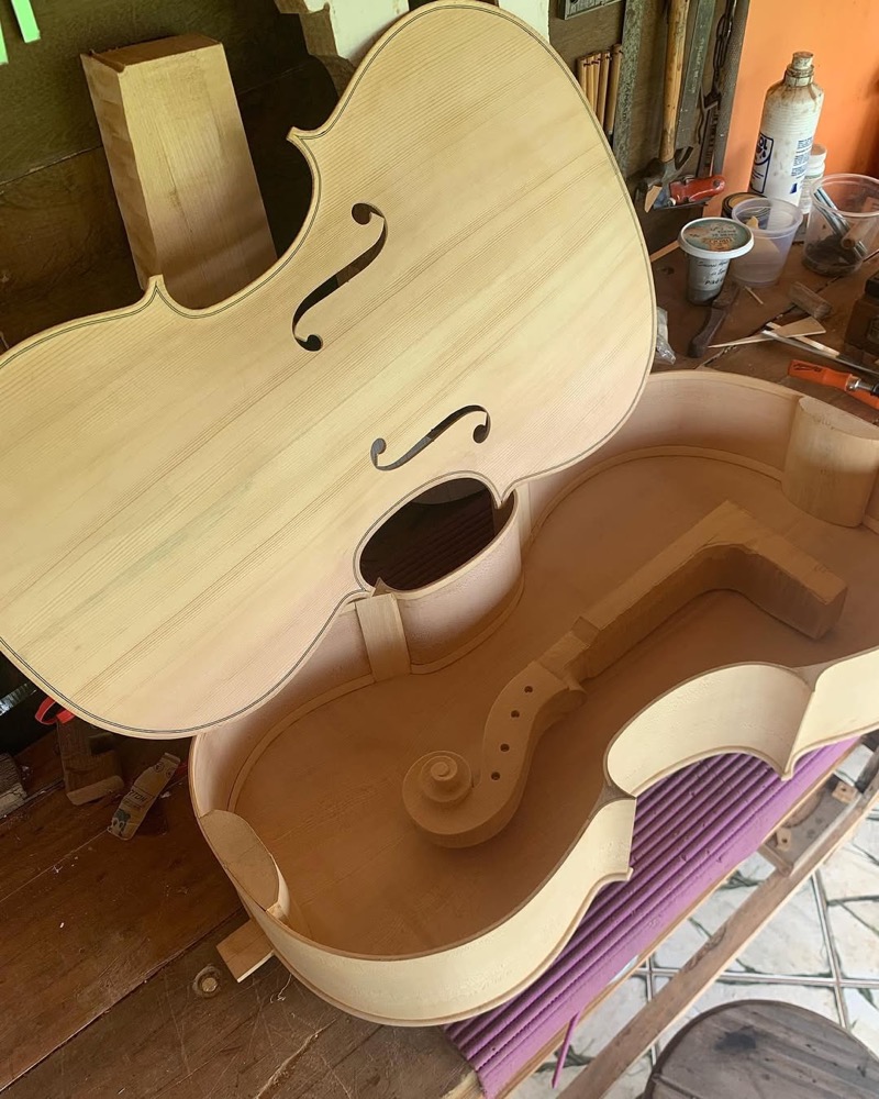 Detalhe do rolo e voluta do violoncelo.