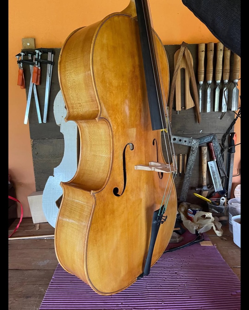 Detalhe lateral do violoncelo com rolo entalhado e voluta.