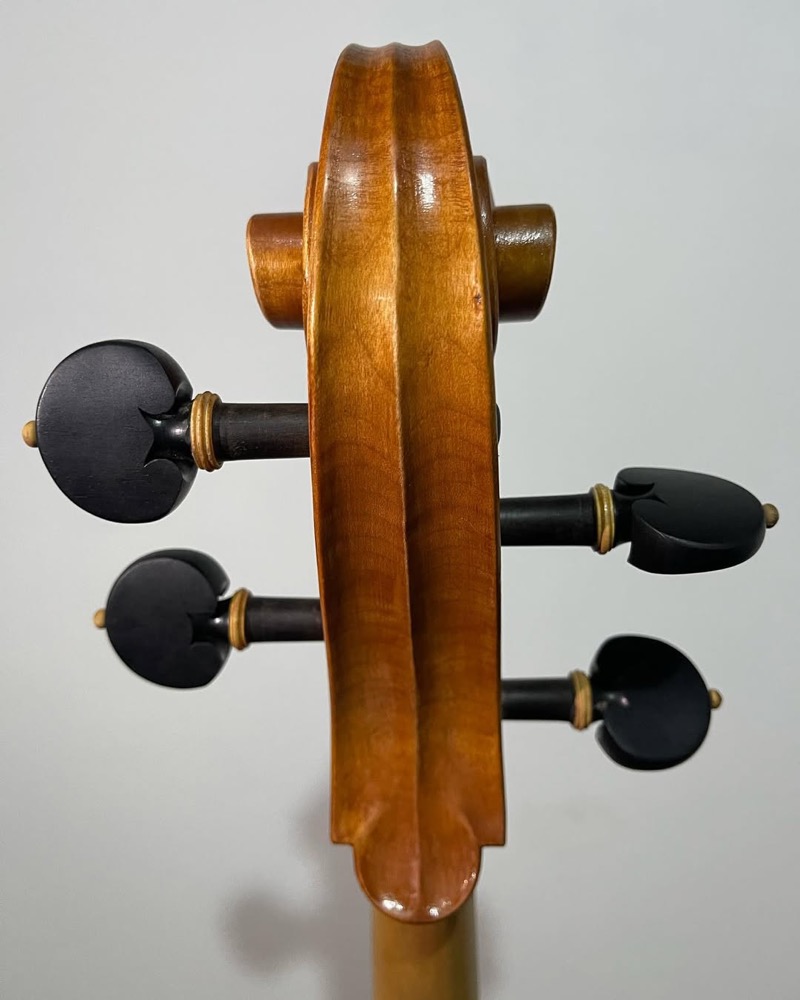 Close do cavalete e cordas do violoncelo.